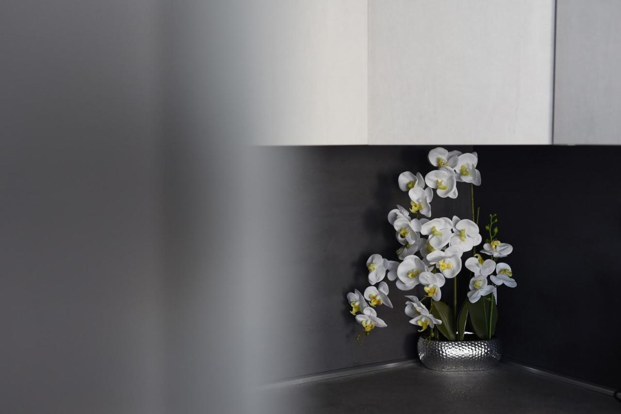 Apartman Niko Ζαντάρ Εξωτερικό φωτογραφία